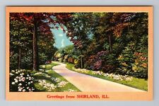Shirland IL-Illinois, Scenic Greetings Road Through Flowers Vintage Postcard picture