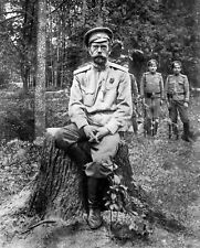 1917 Nicholas II of Russia Last Known PHOTO  (228-z) picture