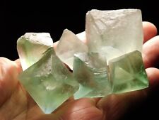 BIG LOT of SIX 100% Natural  GREEN FLUORITE Octahedron Crystals 214gr picture