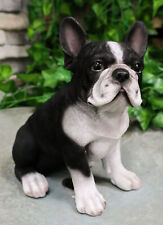 Realistic Lifelike Black French Bulldog Puppy Dog With Glass Eyes Statue 7