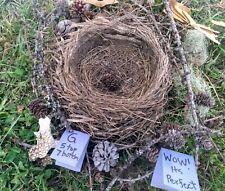 Wow Genuine Natural Found Wild BIRD'S NEST + Nature Items- Pinecones, Ect...G picture