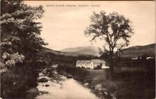 Newry, ME Maine  BEAR RIVER CABINS Cottage Motel ROADSIDE Oxford County Postcard picture