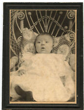 Antique Photo - SAMMONS Family Baby - 4 1/2 Mo Old picture