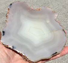 2lb+ Pink Agatized Petrified wood Slab Paulina Agate Chalcedony Fluorescent picture