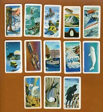 1973 Brooke Bond Red Rose Tea Series 17 ... The Arctic 13 Card Lot picture