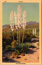Postcard Yuccas The Four Sisters Desert Scene Linen Card C:1930's-1940's picture