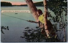 A Familiar Scene in the Adirondack Mountains Postcard picture
