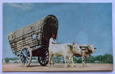 Bullock Cart Colombo, Ceylon Sri Lanka Man with Cows and Covered Cart Postcard picture