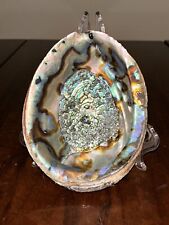 Vintage Abalone Shell - Smudging Beach Decor 7”x 5” picture