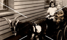 C 1918-1930 RPPC Postcard Horned Goat Cart Children Occult Baphomet picture