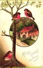 Three Adorable Birds On A Tree, Beautiful Home, Many Happy Returns Postcard picture
