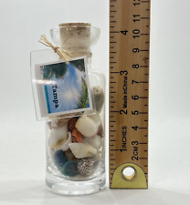 Seashell Shell Lot in Bottle Assorted Colorful Mixed Small Tampa Florida picture