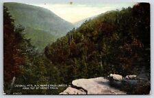 Catskill Mountains From Top Of Haines Falls Canyon New York NY Vintage Postcard picture