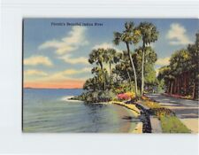 Postcard Beautiful Indian River Florida USA picture