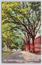 c1940s~University of Tennessee~Campus~Cumberland Ave~Knoxville TN~VTG Postcard picture