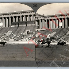 c1933 Chicago Century of Progress Rodeo Calf Tying Real Photo Stereoview V45 picture