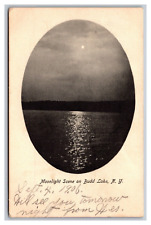Moonlight Scene on Budd Lake NY Undivided Back Postcard Posted Peapack NJ 1906 picture