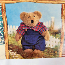 2000 Mervyn's Dept. Store California Boy Bear Teddy Bear w/Case & Outfits 12