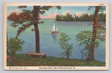 Greetings from Lake Wallenpaupack Pa Linen Postcard No 5194 picture