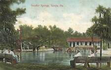 c1910 People Bath House Sulphur Springs Tampa Bay FL P411 picture