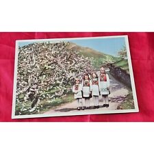 Norway Girls In National Costumes Postcard White Border Divided picture