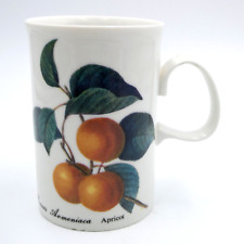 Dunoon Orchard Fruits Apricot Red Currant Mug Fine Bone China Made in England picture