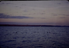 Vintage Slide 1969 70 Duck Decoy Spread Duck Season Cross Lake picture