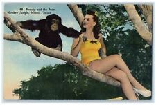 c1940's Beauty And The Beast Monkey Jungle Miami Florida FL Unposted Postcard picture