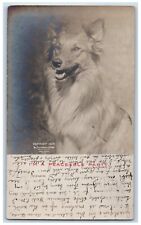 1906 Sheepdog Dog Titusville New Jersey NJ RPPC Photo Posted Antique Postcard picture