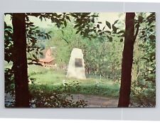 Site Of Revolutionary War Lead Mines Near Wytheville Virginia Postcard 1802 picture