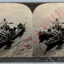 c1900s Alaska Malamut Indians w/ Dogs in Canoes Real Photo Stereoview Eskimo V44 picture