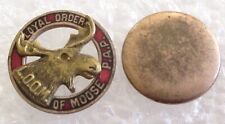 Antique Loyal Order of Moose P.A.P. Member Lapel Pin - LOOM Lodge Screw Back picture