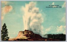 Castle Geyser Yellowstone National Park Linen Historical Forest Vintage Postcard picture