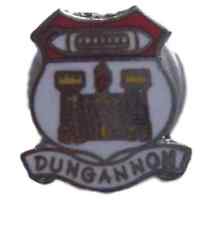 Dungannon Ireland Quality Enamel Lapel Pin Badge picture