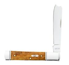 CASE XX KNIVES USA 2024 VAULT KNIFE SMOOTH ANTIQUE BONE RAZOR 1 BLADE 58211 picture