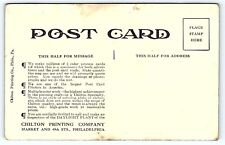 c1910 Chilton Printing Co Market 49th Philadelphia PA Sales Sample Postcard UNP picture