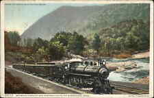 Berkshire Hills Massachusetts MA Train 11935 Detroit Publishing c1910 Postcard picture