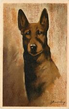 Beautiful Vintage French Art Postcard Collection Chien - Loup (Wolf) Portrait picture