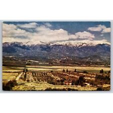 Postcard Vintage Mt. San Gorgonio California 0516 picture