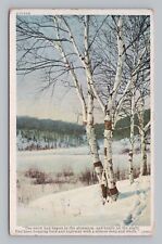 Postcard The Snow Has Begun Scenic Winter View c1916 picture