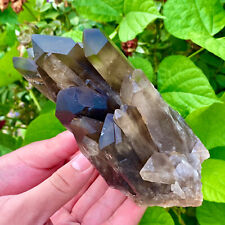 1.9LB Natural Tea black Crystal quartz Cluster Mineral Specimen Healing reiki picture