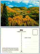 Vintage Postcard - GOLDEN ASPENS blanket Southwestern Colorado picture