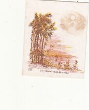Tiki Hut Palm Drees F Todd Litho No Advertising Vict Card c1880s picture