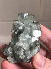 Datolite crystal cluster, Aurora mine, Charcas, Potosi, Mexico picture