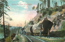 Vintage Logging Postcard AB 139 Hauling Big Trees in California, Huge Logs on RR picture