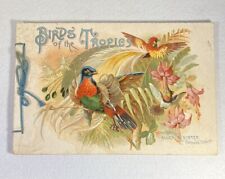 1888 antique ALLEN & GINTER BIRDS OF THE TROPICS TOBACCO Card Album advertiser picture