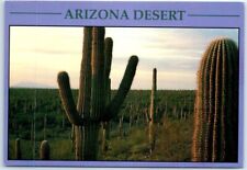 Postcard - Saguaro Cactus (Carnegiea Gigantea), Arizona Desert, USA picture