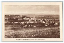 c1910's View Of Hurleyville From Columbia Hill Luzerne New York NY Postcard picture