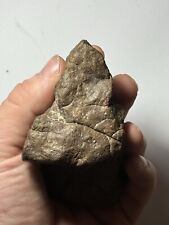 Carbonaceous Meteorite CO3 Unclassified 318 grams picture