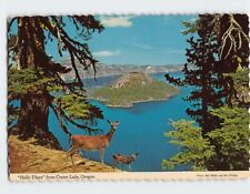 Postcard Deer Crater Lake Oregon USA North America picture
